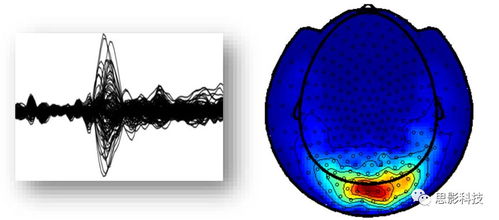 思影数据处理服务六 脑磁图（MEG）数据处理与软件开发