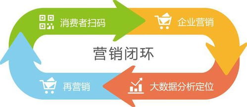 防伪防窜货系统的实现机制与软件开发解析